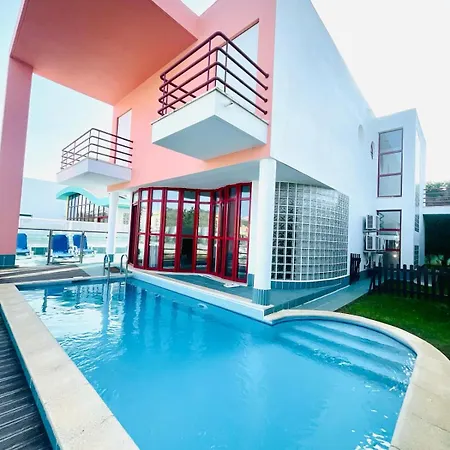 D'alba - Sem Stress 阿尔布费拉